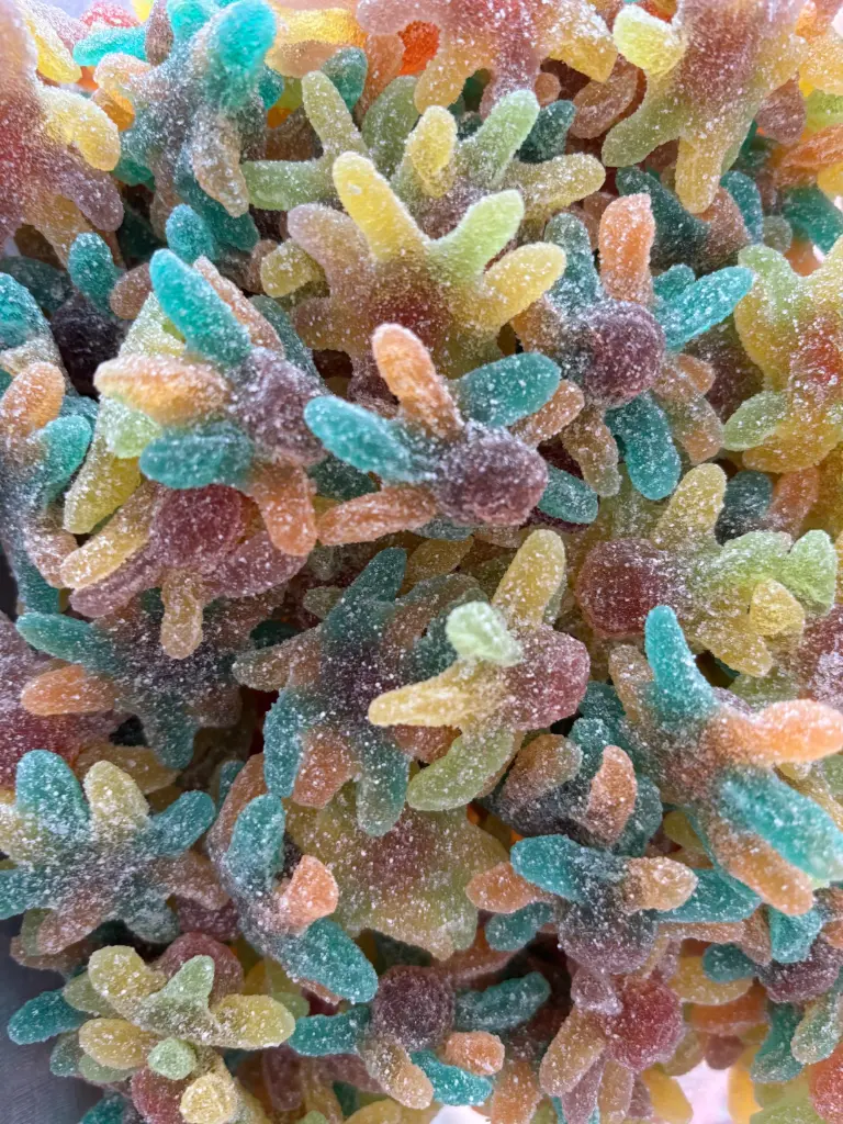 Octopus pieuvre acidulé Halal (5 pièces)