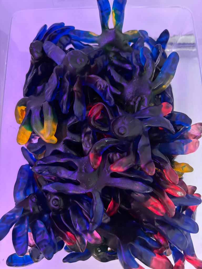 Trolli Ursula et son encre lisse (5 pièces)