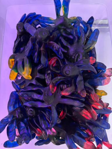 Trolli Ursula et son encre lisse (5 pièces)